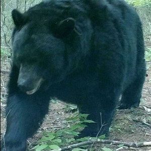 Meet your Posher, Brett